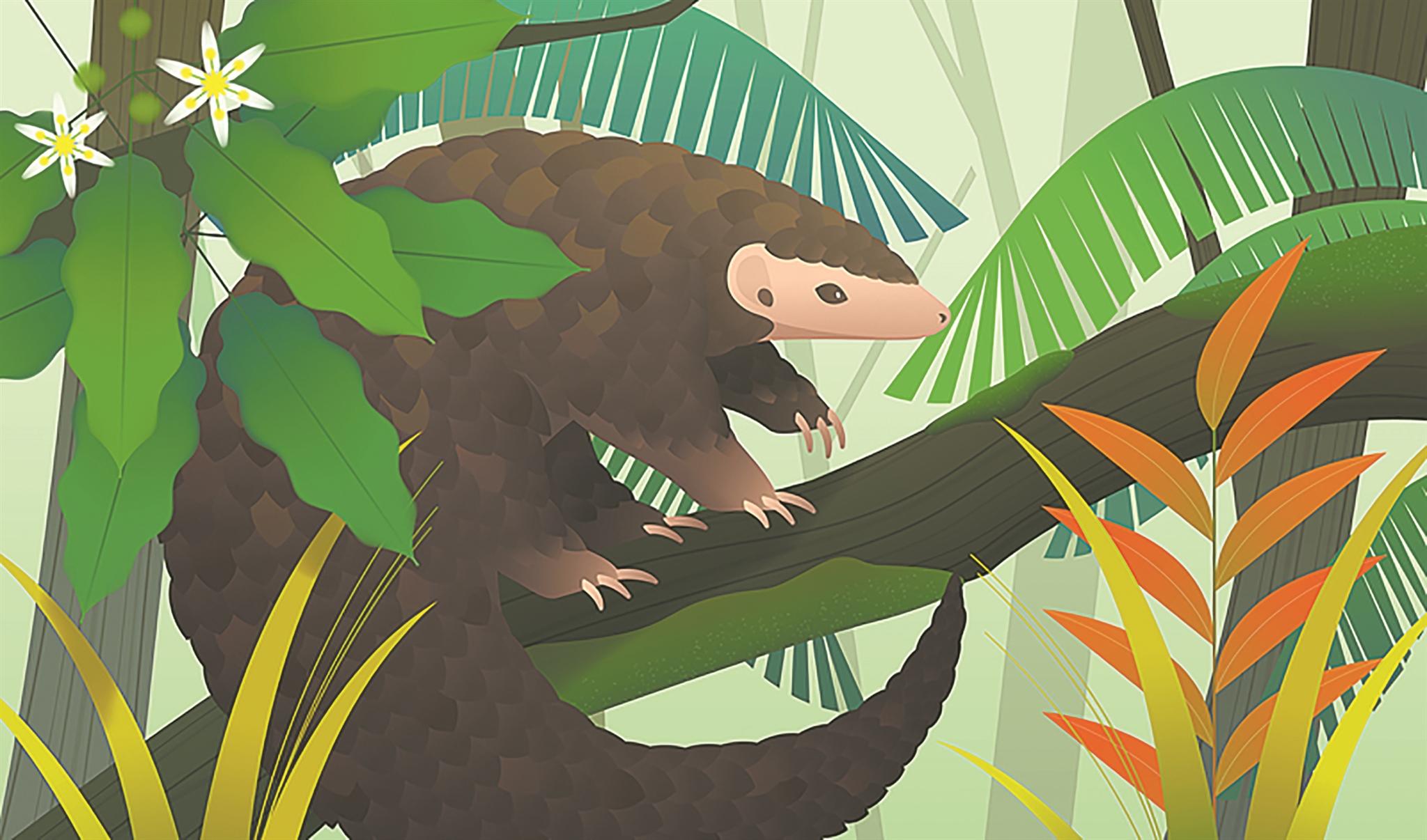 0.jpg